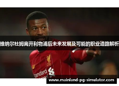 维纳尔杜姆离开利物浦后未来发展及可能的职业道路解析 维纳尔杜姆离开利物浦后未来发展及可能的职业道路解析