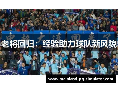 老将回归:经验助力球队新风貌 老将回归:经验助力球队新风貌