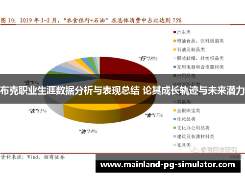 布克职业生涯数据分析与表现总结 论其成长轨迹与未来潜力