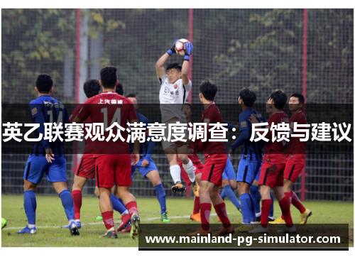 英乙联赛观众满意度调查：反馈与建议